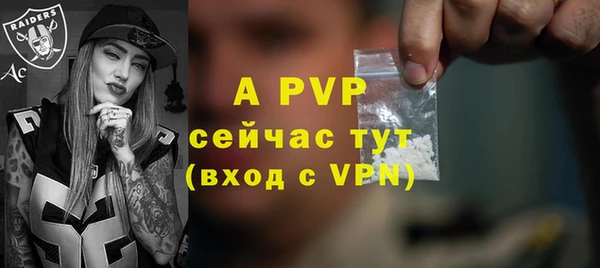 PSILOCYBIN Аркадак