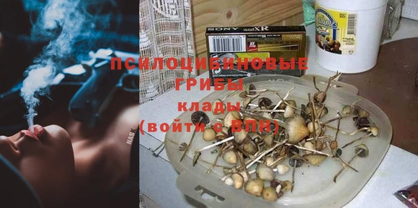 PSILOCYBIN Аркадак