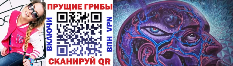 гидра ONION  даркнет официальный сайт  Псилоцибиновые грибы мухоморы  Сысерть 